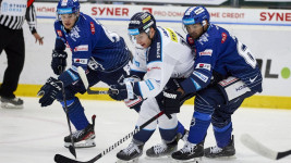 hokej kladno